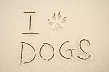 I Love Dogs message with a paw print in place of the heart handwritten on smooth sand beach