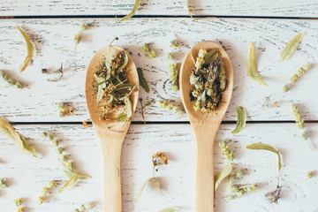 Natural organic herbal green tea in wooden spoons.