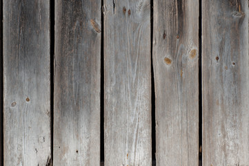 Obraz premium background texture old dry gray boards arranged vertically
