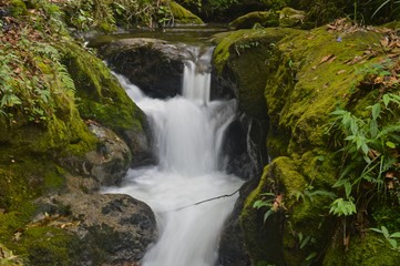 Obraz premium Hermosa cascada... Cauca 