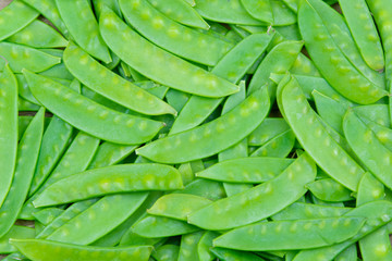 green snow pea pods background.