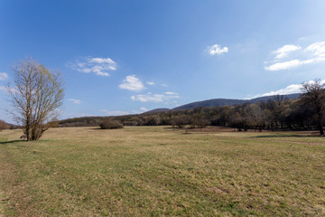 Fototapeta na wymiar Gyadai meadow near the village of Szendehely, Hungary.