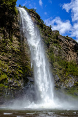 waterfall in the forest