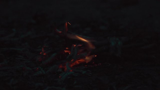 pine branch on fire slowly burns