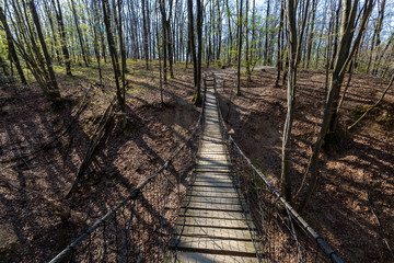 Rope bridge in the Naszaly mountain, Hungary