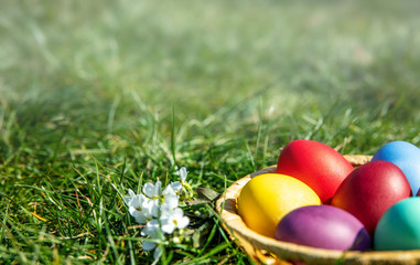Multi-colored Easter eggs in a basket on the grass with a fog effect, the background is blurred, shallow depth of field, selective focus. Easter holiday concept