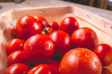 ripe tomatoes in a small wooden crate
