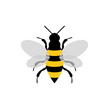 Bee icon isolated on white background. Honey flying bee. Insect. Flat style vector illustration.