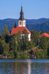 Fototapeta premium Amazing view on Bled Lake on sunset, Slovenia