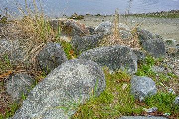 Rocks, Sand and Grass
