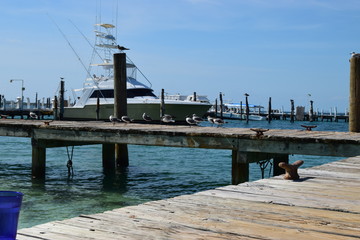 Muelle 
