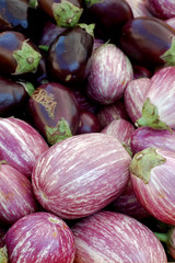 Fototapeta na wymiar eggplants