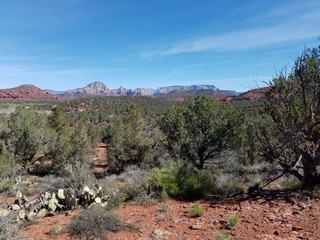 Desert landscape Sedona AZ USA