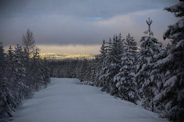 Obraz premium Snow road in front of mount Svartliden in Vasterbotten, Sweden