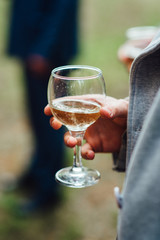 wedding glasses for wine and champagne from crystal