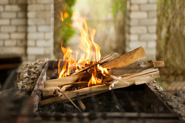 Flames of a fire, firewood for grilling, cooking coals for barbecue