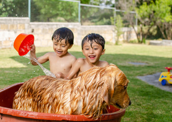 happy kids shower a dog