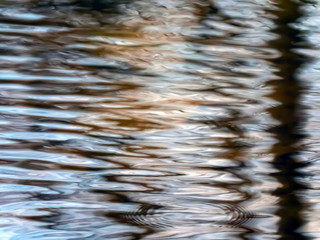 Rippled Water Surface