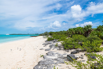 View of Big Major Cay (better known as Pig island or Pig  beach) where lives  a colony of feral pigs (Great Exuma, Bahamas).