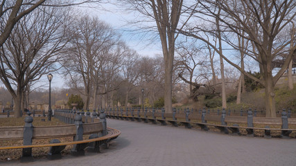 Fototapeta premium Beautiful Central Park in New York