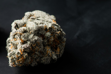 Close up macro of green cannabis bud