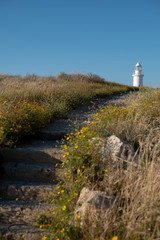 Obraz premium The road among the field with yellow flowers to the building of a white lighthouse against the blue sky. A signal for caution of ships sailing in the sea. On the shore. Steps on the rise.