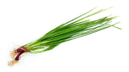 Obraz na płótnie Canvas Fresh green onion isolated on white background