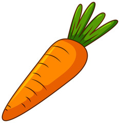 One carrot on white background