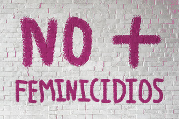 Barda con Grafiti de Feminicidios No Más - obrazy, fototapety, plakaty