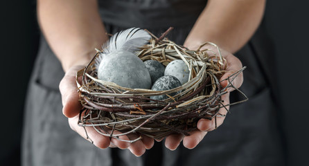 Woman hands holding nest with marble Easter eggs with feathers on dark background. Happy Easter holiday, selective focus, toning