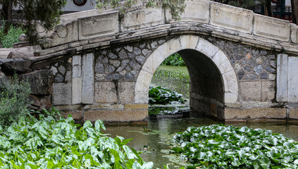 An Old Bridge in a Chinese Garden