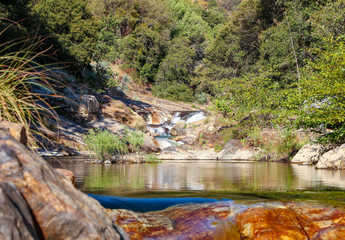 A Relaxing River Bed Near the Forest