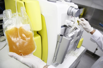 sangue blood plasma