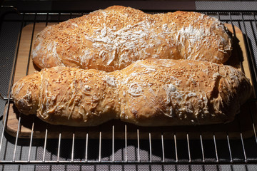 
Two white bread with sesame seeds lie side by side on a wire rack. Fresh, texture, food, bakery, cooking, delicious