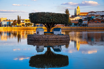 Triumph medium plane