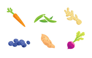 Organic Vegetables and Fruit. Carrot green beans ginger blueberries sweet potato.