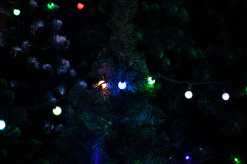 Garlands on the Christmas tree.