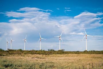 Eolic turbines