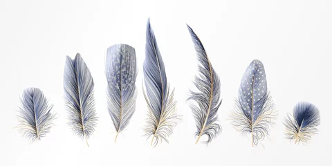 Papier Peint photo Plumes Set Modern abstract art Blue with Golden Feather. . Vector illustration.
