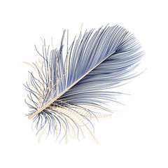 Obraz premium Modern abstract art Blue with Golden Feather. Vector illustration.