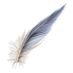 Modern abstract art Blue with Golden Feather. Vector illustration.