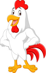 Cartoon rooster posing isolated on white background 