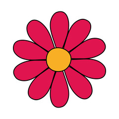 flower design, natural floral nature plant ornament garden decoration and botany theme Vector illustration