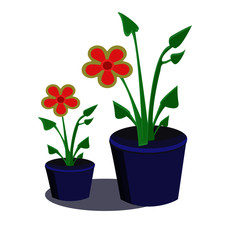 Flower pot with soft red flowers.