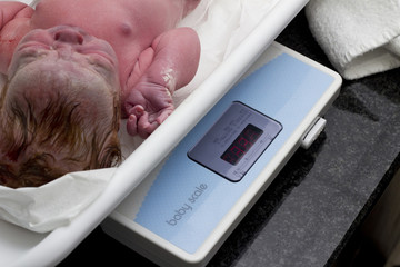 Newborn baby being weighed on scale
