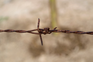 Close-up of rusty barbed wire on a natural background
