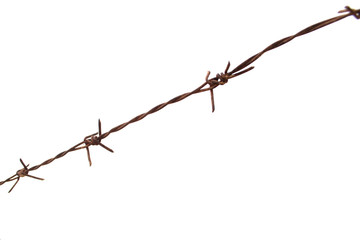 Close-up of rusty barbed wire on a natural background