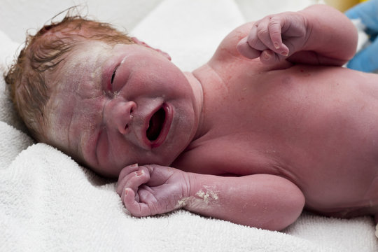 newborn baby crying