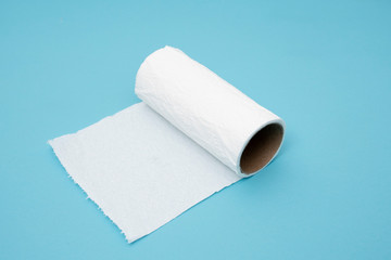 Running out of toilet paper concept end of roll