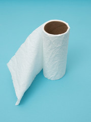 Toilet paper roll running out  scarcity concept
